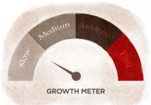 growth meter