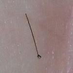 1_month_shed
